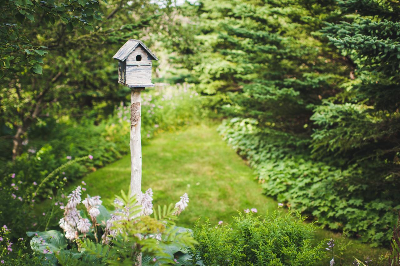 Abbie'S Garden Bed & Breakfast Grand Bank Exteriör bild