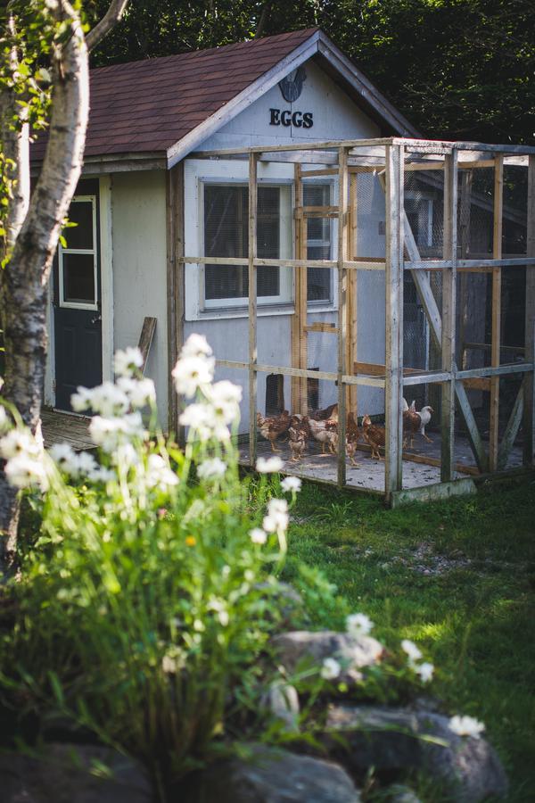 Abbie'S Garden Bed & Breakfast Grand Bank Exteriör bild